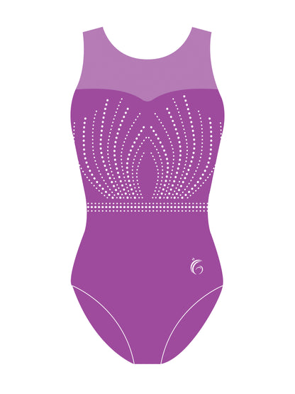 Radiant Sparkle Sweetheart Mesh Leotard